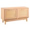 Flip Top Shoe Storage Bench Cabinet with Rattan Accent with Seating for Entryway or Hallway